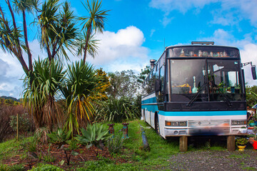 Fototapeta na wymiar A blue bus sitting in a field.