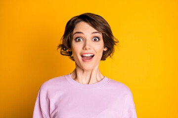 Portrait of astonished cheerful girl look good wonderful black friday novelty impressed scream wear sweater isolated over vivid color background