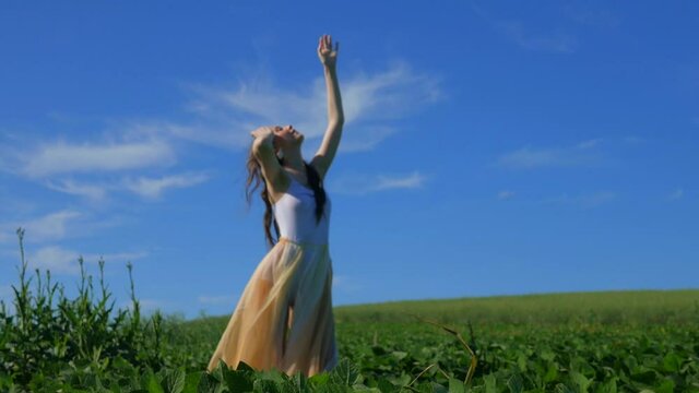 A beautiful girl stands in the middle of the field and reaches for the sun. Young model enjoys the summer rays of the sun. Eyes closed, summer, blue sky, green field.