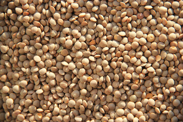 The texture of the lentils