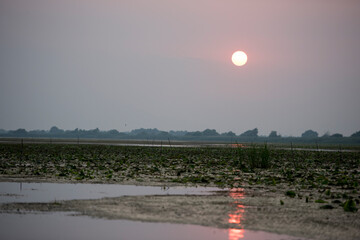 Breathtaking sunset in Danube Delta,  Romania,  in a summer day; outdoors