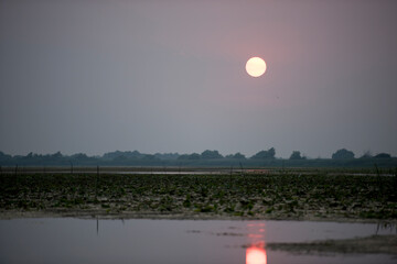 Breathtaking sunset in Danube Delta,  Romania,  in a summer day; outdoors