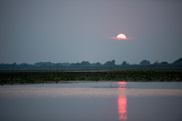 Breathtaking sunset in Danube Delta,  Romania,  in a summer day; outdoors