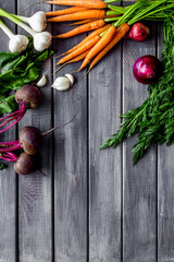 Harvest of vegetables. Home gardening. Top view frame copy space