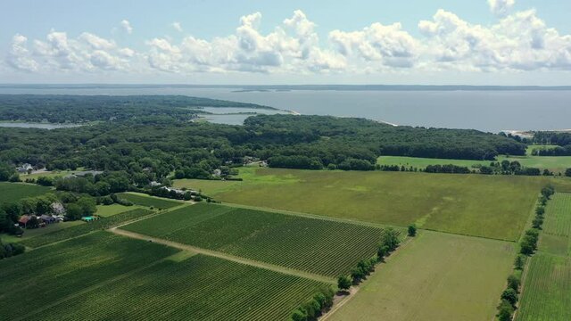 Drone slow dolly aerial shot with lush, green vineyard rows in the middle of summer. Long Island Sound is viewable in the distance.