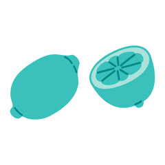 Concept of fresh lime whole and half in flat style. Graphic elements of citrus vegetarian food. Vector illustration on isolated white background. 
