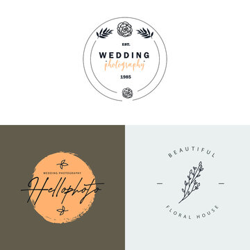 Beautiful logotype collection