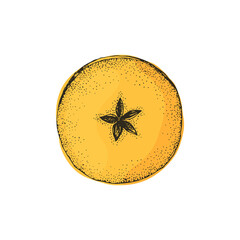 Vector illustration with apple in cross section in freehand drawing style. Dried fruits, ingredients for mulled wine and compote. Apple slice