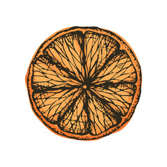 Vector illustration slice of orange in freehand drawing style. Dried fruits, ingredients for mulled wine and compote. Slice of orange