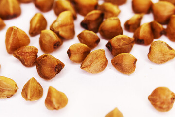 buckwheat grain isolated on white background close up. Top view