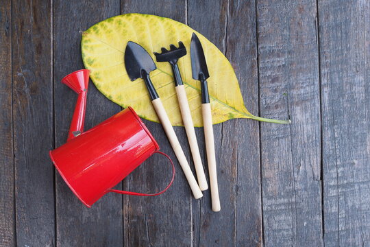 Planting and gardening tool equipment on green leaf on wooden table