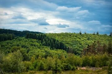 landscape with trees and clouds - 361298100