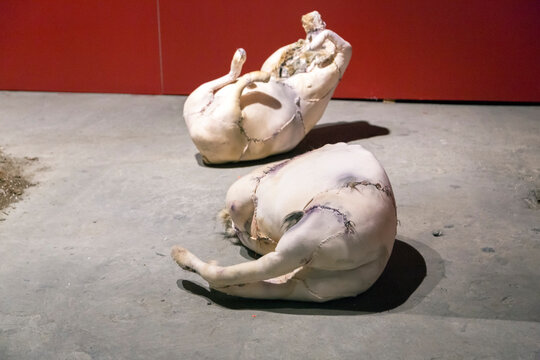 Artwork exhibited at the 5th edition of Mamut Art Project