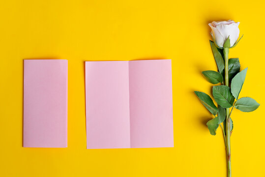 Folded Bifold Business Pink Card Mockup With Beautiful Rose Flower