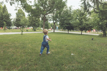 Fototapeta premium A little boy of two years in a blue jumpsuit and a white T-shirt walks in the park and is surprised by everything that is happening around him. High quality photo