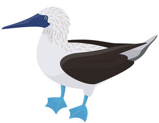 Blue-footed booby side view. Tropical bird in cartoon style.