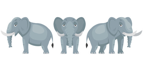 Elephant in different poses. African animal in cartoon style.