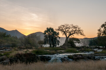 Baobab tree at sunrise at the top of Epupa waterfalls