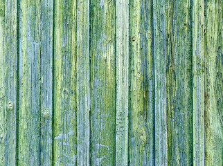 Fototapeta na wymiar Green color old wooden fence with vertical planks covered with peeled paint