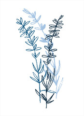 Lavender flowering plant. Mini art print. Hand drawn monochromatic vector illustration
