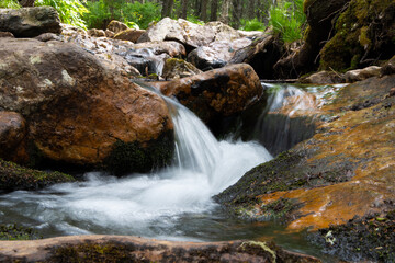 Natural stream flowing over stones in the forest. Summer landscape. Can be used as a postcard, background