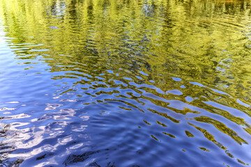 Wavy water surface of the river with reflection of coastal vegetation