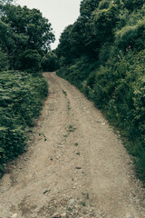 I walk up in the middle of green nature.