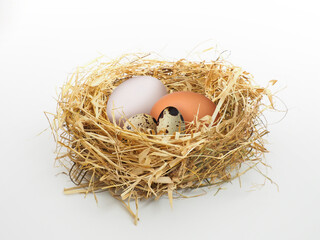 Naklejka na ściany i meble Characteristic 3 type eggs: chicken, duck, quail.
