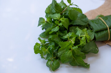 Peppermint isolated on a white background
