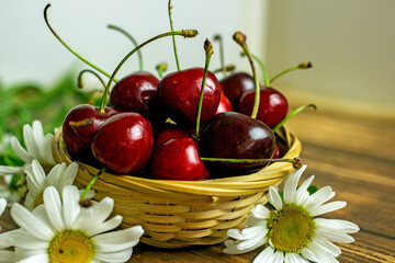Ripe cherry berries in a wicker basket next to field daisies on a wooden background