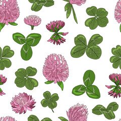 Clover pattern seamless on white background wildflower for good luck