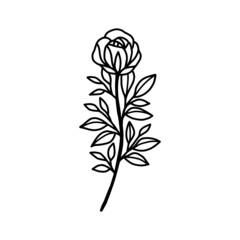 Hand drawn rose flower element. Floral line art for feminine logo, icon, business card, wedding invitation, or decoration