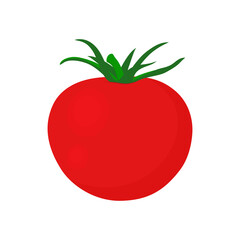 tomato isolated on white background, vector illustration