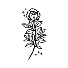 Hand drawn rose flower element. Floral line art for feminine logo, icon, business card, wedding invitation, or decoration