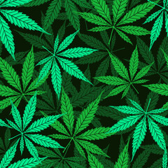 Cannabis vector seamless pattern of green leaf on black background. Cartoon hand drawing marijuana grass or ganja plant texture. Herbal floral nature top view design wallpaper, cover