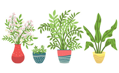Flowers in vases, floral decor for home flat style flourishing on branches, plant with frondage, tender and elegant design, container interior. Isolated flowerpot with blooming plant . Vector in flat