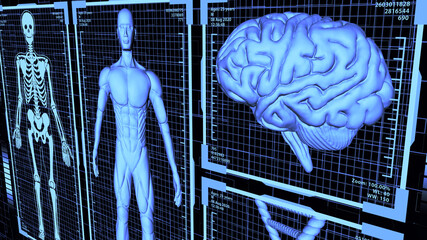 8K 3D Rendered HUD Muscular anatomical man Body, Brain, and DNA including Skeleton in body analysis concept background ver.3