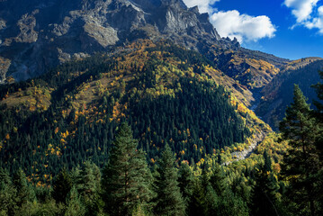 From Upper to Lower Svaneti path. View of the mountain forest, Mount Ushba and beautiful sk y