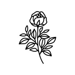 Obraz premium Hand drawn rose flower element. Floral line art for feminine logo, icon, business card, wedding invitation, or decoration