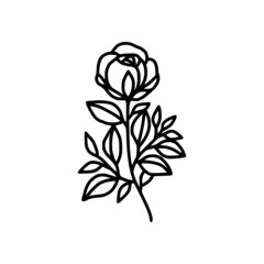 Hand drawn rose flower element. Floral line art for feminine logo, icon, business card, wedding invitation, or decoration