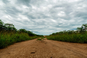 dirt road in the countryside
