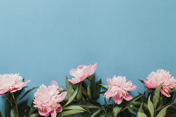 Pink peonies on blue background. Floral frame of peonies. Top view, copy space