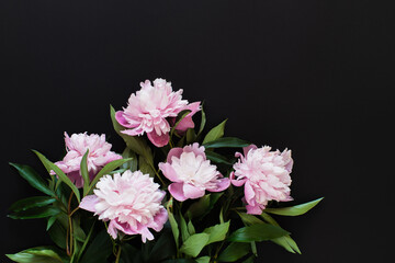 Bouquet of pink peonies on black background. Top view, copy space. Flat lay summer flowers