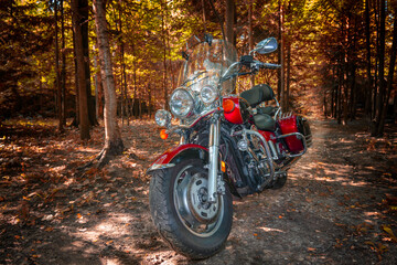 Park Moscow region, September 29, 2019 - Motorcycle cruiser in sunny autumn forest. Selective focus. Kawasaki VN1600 Vulcan Nomad