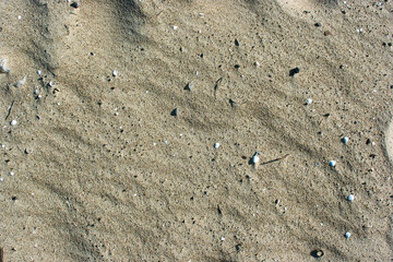 Sand.
