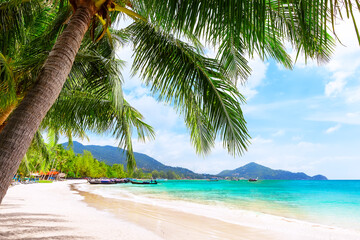 Blue sky, coconut palm trees and beautiful sand beach in Koh Tao, Thailand.