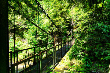 Prielom Hornadu, Hornad gorge, Slovensky Raj - Slovak Paradise, Slovakia, Western Carpathians