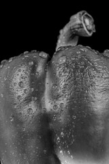 Paprika monochrom