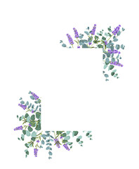 Eucaliptus and lavender elements design template. Simple design with frame flowers. Herbal vector frame