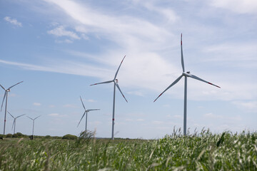 Windkraft in Nordfriesland